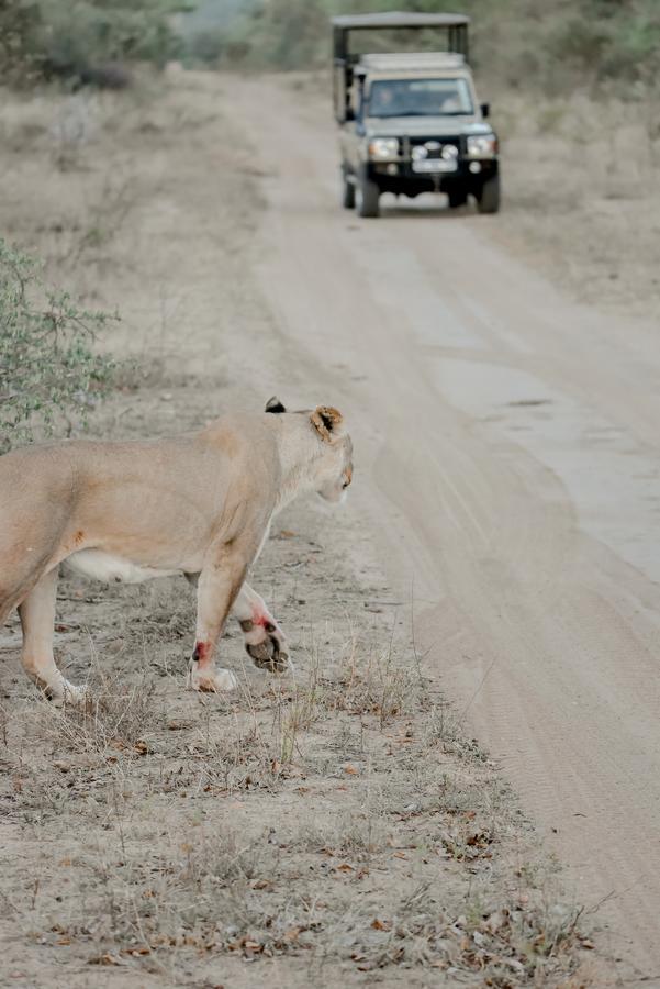 Moditlo River Lodge Hoedspruit Εξωτερικό φωτογραφία