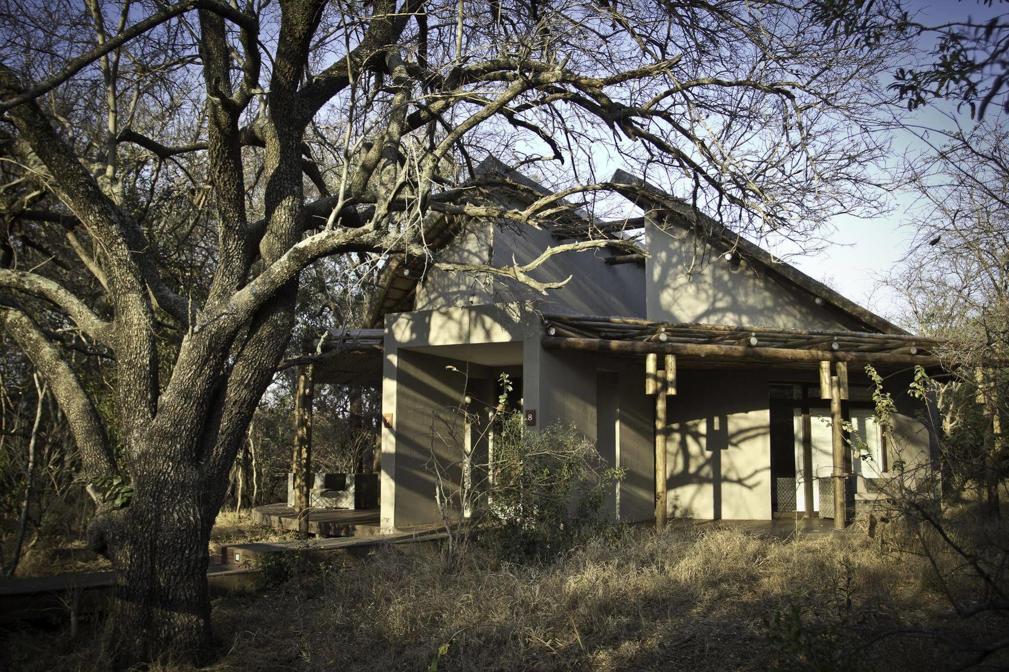 Moditlo River Lodge Hoedspruit Εξωτερικό φωτογραφία